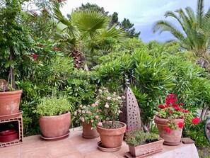 Terrain de l’hébergement 