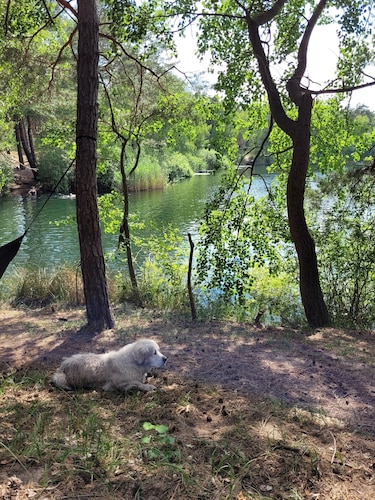 Ost-Nostalgie im Hüttendorf (Alleinnutzung) - geführte Yacht Tour inklusiv