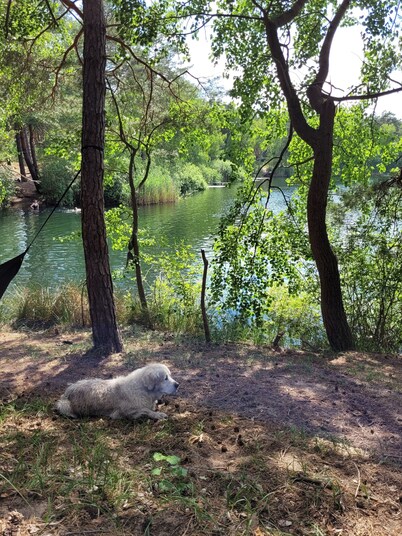Eastern nostalgia in the hut village (single use) - guided yacht tour included