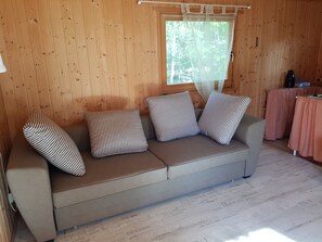 TV, ping pong, books