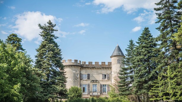 Un bâtiment qui ressemble à un château, doté d’une tourelle et entouré d’arbres et d’une pelouse verdoyante.