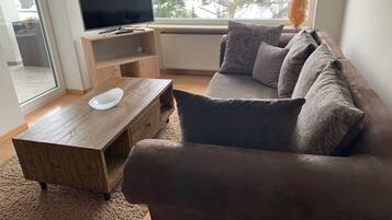 38-inch flat-screen TV with satellite channels, TV