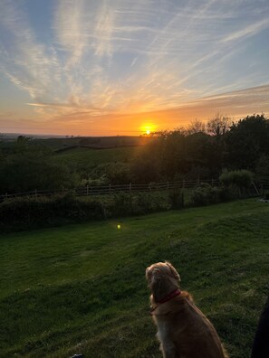 View from property - Looe Yurts (Looe)