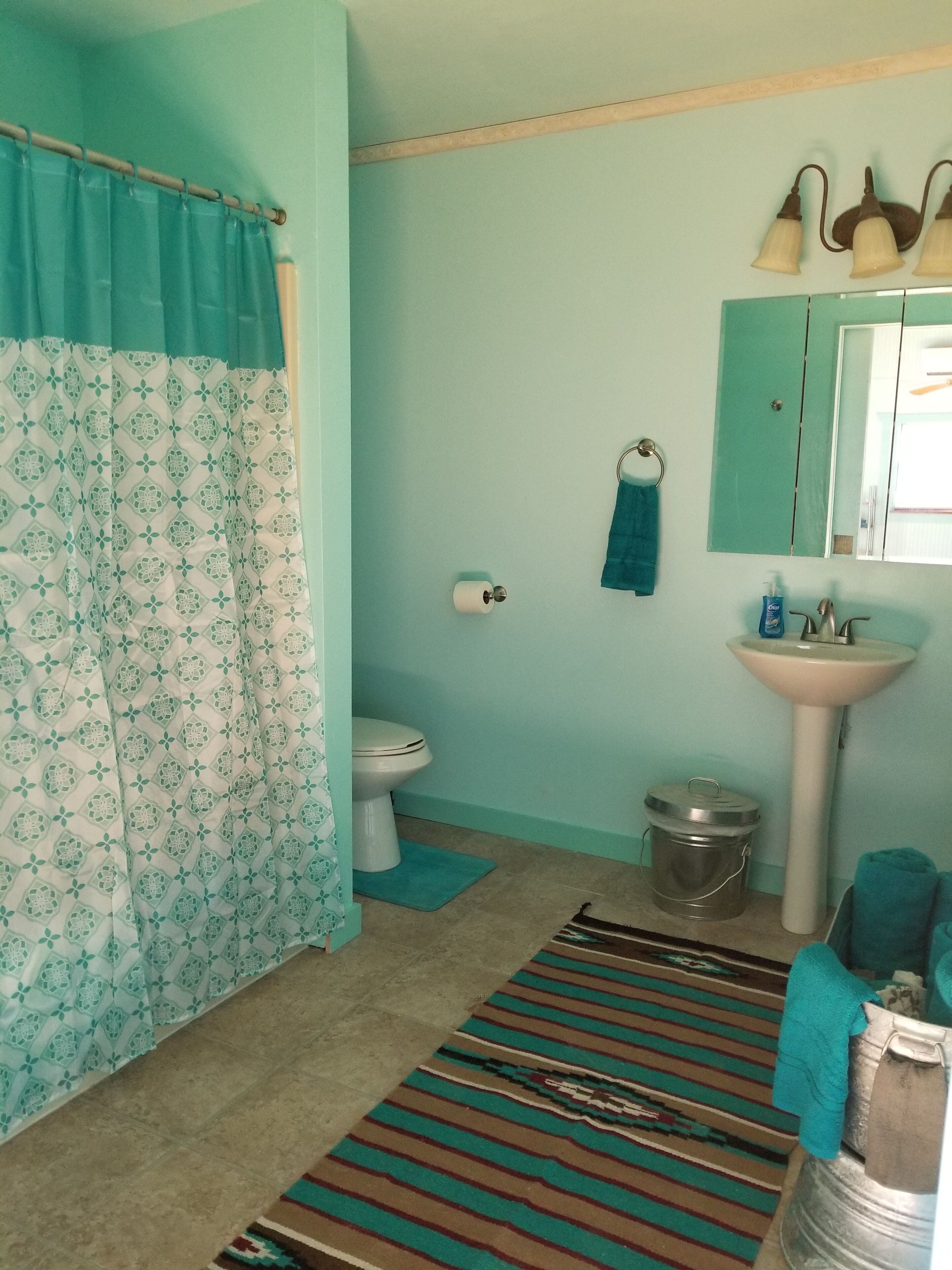 A bathroom with a toilet, sink, shower curtain, and a rug.