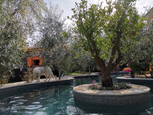 Ferienwohnung mit privaten Pool