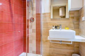 Shower, hair dryer, bidet, towels