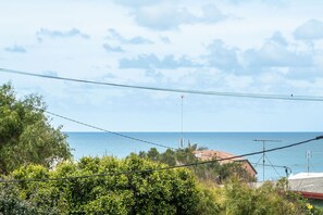 Beach - Stones Throw To Shelly Beach + Pet Friendly! (Shelly Beach)