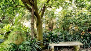 A stone bench surrounded by lush greenery and various plants in a garden setting.