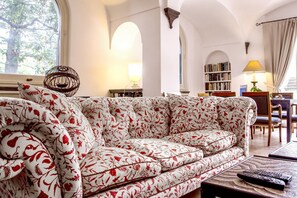 TV, fireplace, video library