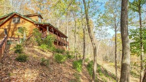 A wooden cabin with a porch, surrounded by trees and a forested area.