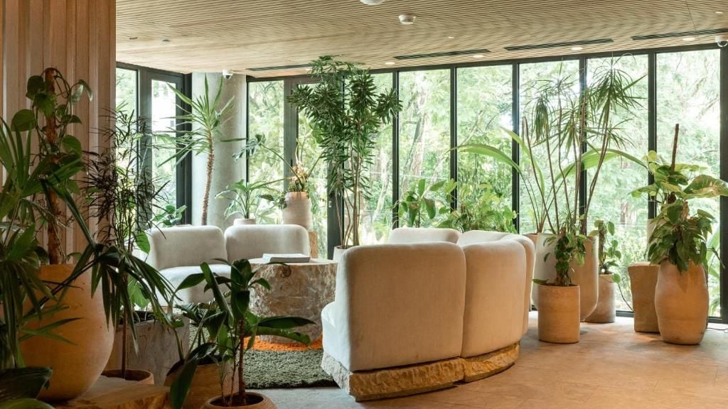 Un intérieur moderne avec de grandes fenêtres, un canapé et diverses plantes en pot.