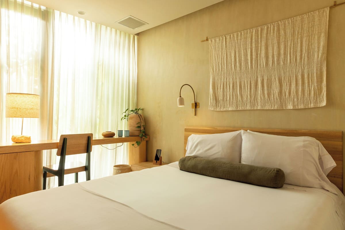 A hotel room with a bed, a desk with a chair, a lamp, a plant, and a wall-mounted towel rack.