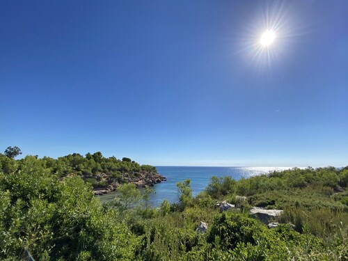 Avondale, close to the beach, ideal for families