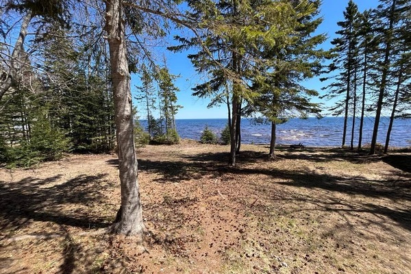Lake view from the house