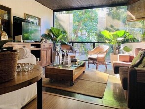 TV