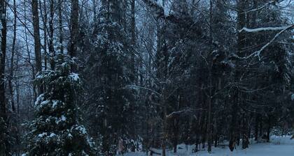 ADK Camp Cardinal -Serene Adirondack Luxury Cabin- Hot Tub