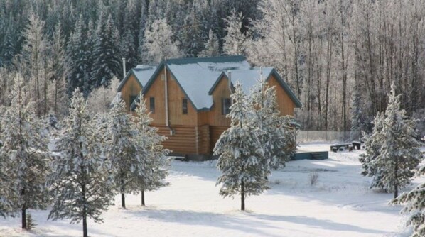Ulkopuoli