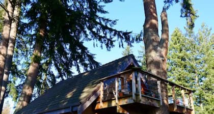 The Nest at Left Foot Farm.