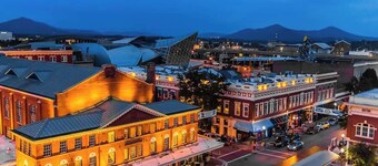 Luxe downtown loft | arts & ale walkable