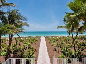 House (Dream Home) | Beach