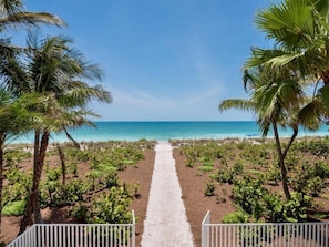 Casa (Dream Home) | Praia | Na praia, prática de pesca