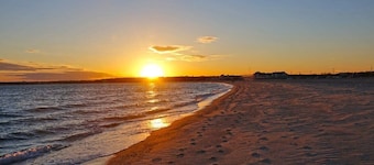 5-Mins to Forest Beach Dog Friendly!