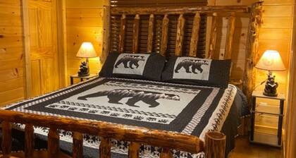 Property has a small pond on back side of the cabin ,it has geese and ducks .