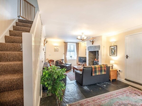 Televisio, takka, DVD-soitin, kirjoja