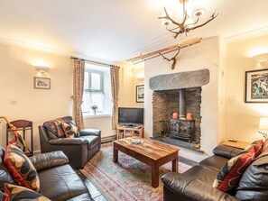 Televisio, takka, DVD-soitin, kirjoja