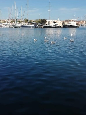 Port de plaisance