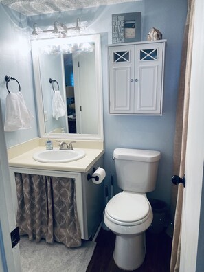 Combined shower/bathtub, hair dryer, towels, toilet paper