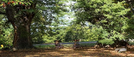 BBQ/picnic area