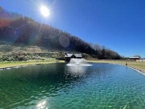 Pool - Fantastic "Black Bear Cabin" In Lynn Valley (Elizabethton)