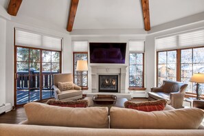 Smart TV, fireplace, DVD player, books