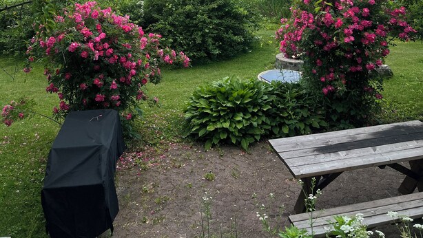 A lakeside garden with a picnic table and a barbecue grill.