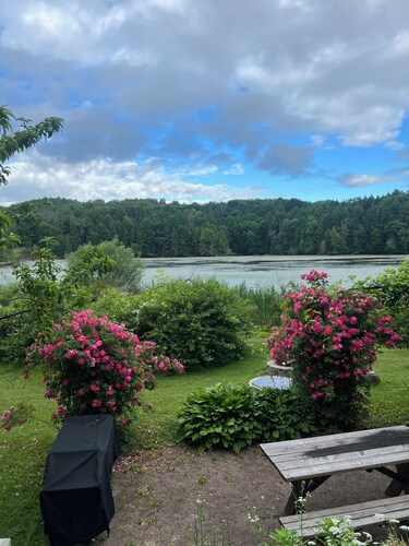 Wildlife Lakeside Cottage
beautiful views, amazing wildlife, great location