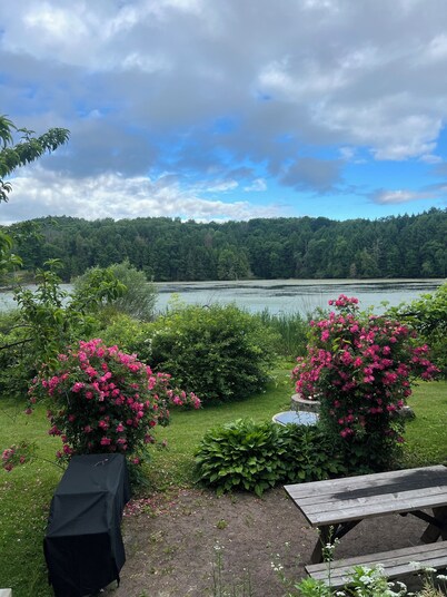 Wildlife Lakeside Cottage
beautiful views, amazing wildlife, great location