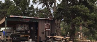 With its retro style and playful color scheme, this unit offers a fun and comfortable escape.