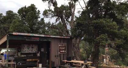 With its retro style and playful color scheme, this unit offers a fun and comfortable escape.