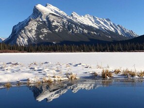 Unclassified image, 3 of 48, button