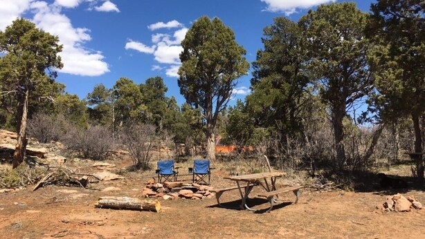A campsite with two chairs, a picnic table, and a fire pit surrounded by trees and dry ground.