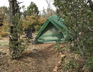 Miscellaneous - Whether you prefer the rustic charm of tent camping or the comfort of your own vehicle, our campgrounds offer a unique way to connect with nature without sacrificing accessibility. Enjoy the perfect blend of adventure and convenience. (Monticello)