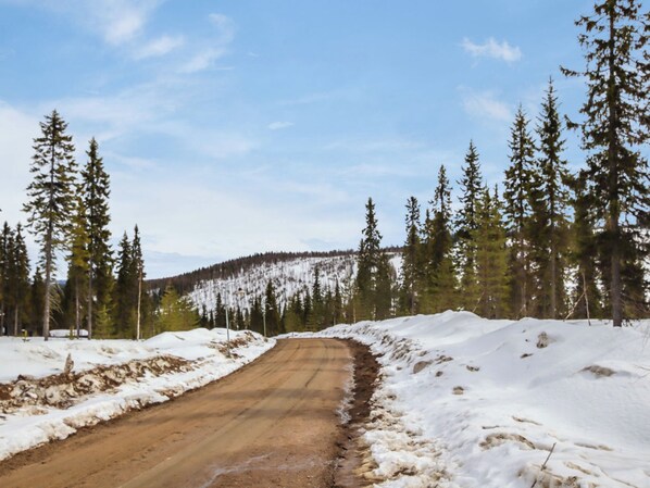Una carretera cubierta de nieve bordeada por árboles de hoja perenne.