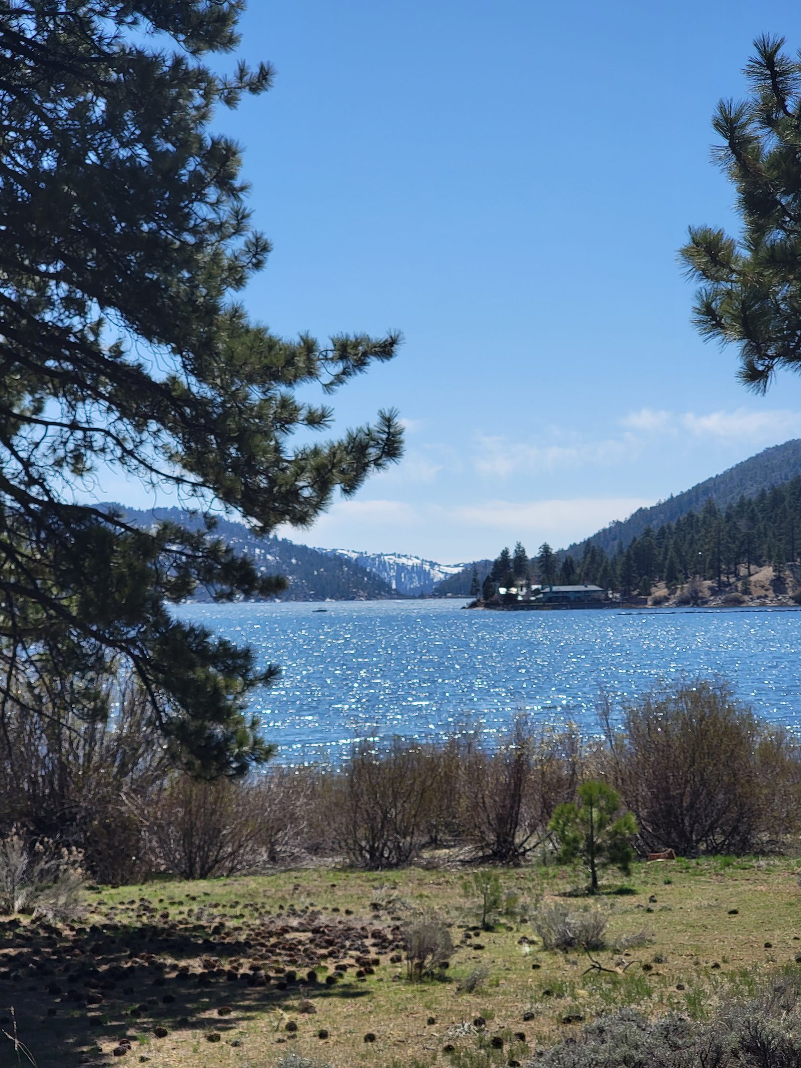 Lake Trail View