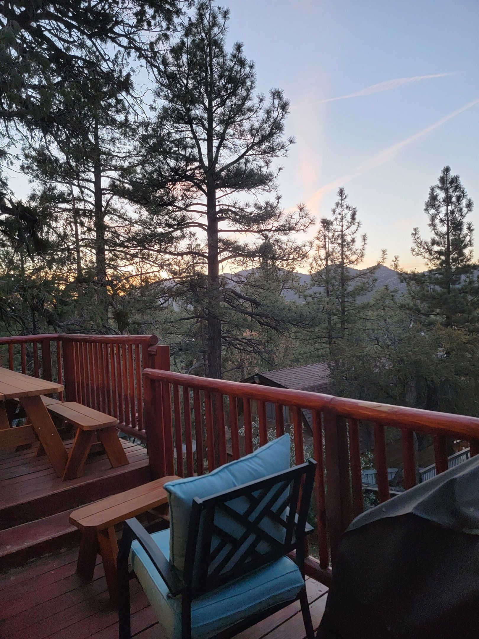 En træterrasse med picnicborde og stole, med udsigt over et skovområde med høje træer og fjerne bjerge.