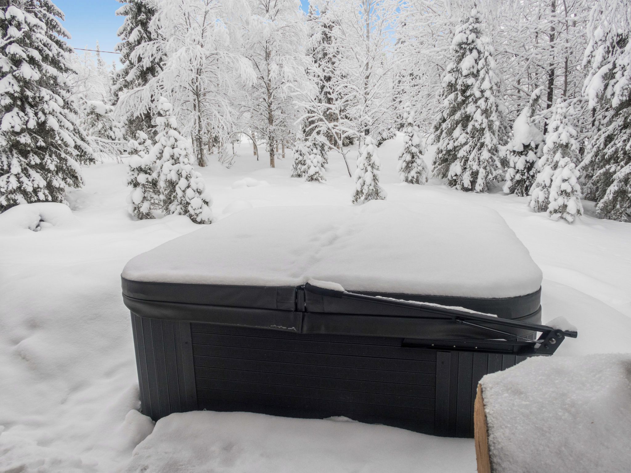 A hot tub surrounded by snow-covered trees.