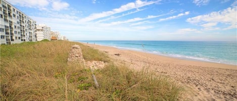 On the beach, sun-loungers, beach towels