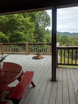 Eine Holzterrasse mit einem liegenden Hund, umgeben von Grünpflanzen und Blick auf ferne Hügel.