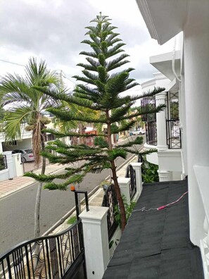Terras