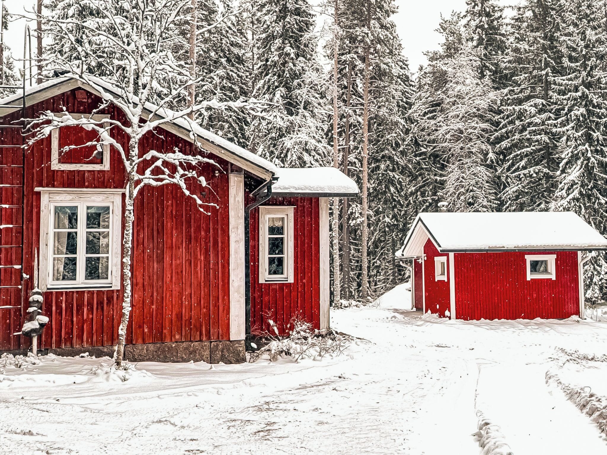 Ulkopuoli